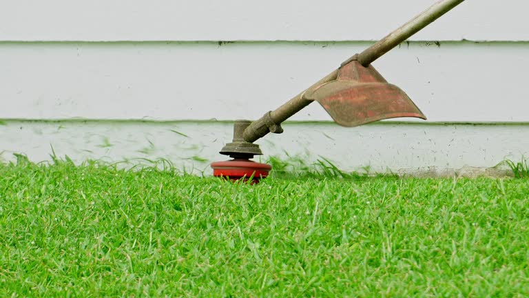 Best Sod Installation  in Stromsburg, NE