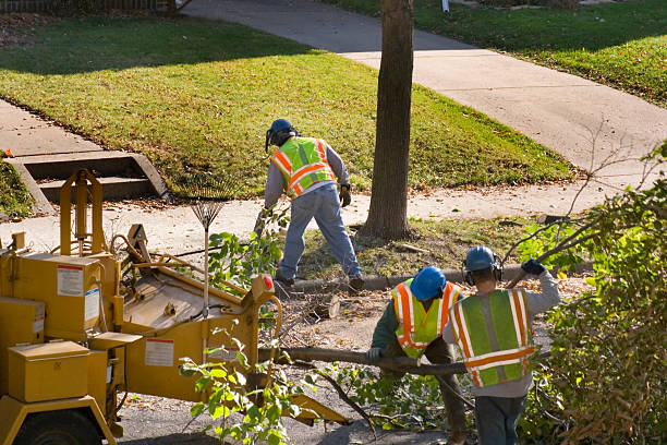 Best Lawn Irrigation Installation and Maintenance  in Stromsburg, NE